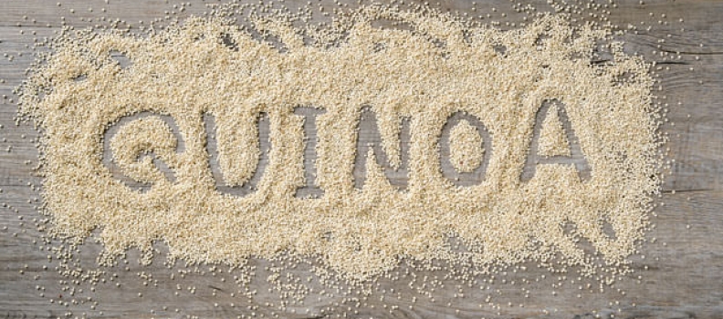 Quinoa